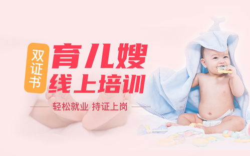 家政服務(wù)人員的分類(lèi)及服務(wù)內(nèi)容概述